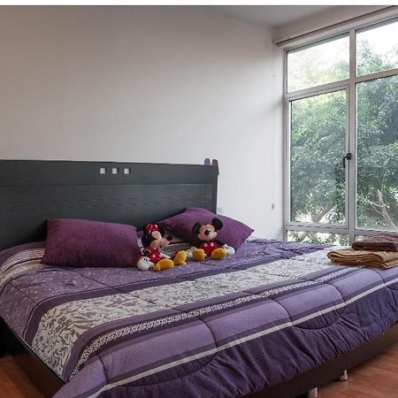 Апартаменты Hermoso Departamento Cerca De Todo Мехико Экстерьер фото